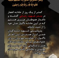 پیام تسلیت مدیرعامل پتروشیمی شهید تندگویان در پی حادثه بندرعباس