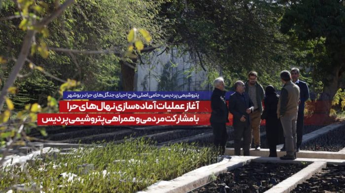 آغاز عملیات آمادهسازی نهالهای حرا با مشارکت مردمی و همراهی پتروشیمی پردیس آغاز عملیات آمادهسازی نهالهای حرا با مشارکت مردمی و همراهی پتروشیمی پردیس