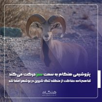 پتروشیمی هنگام به سمت سبز حرکت می‌کند؛ تفاهم‌نامه حفاظت از منطقه تنگ شیرین در بوشهر امضا شد