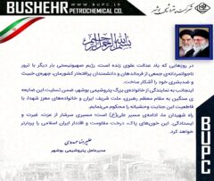 پیام مدیرعامل پتروشیمی بوشهر در محکومیت جنایت رژیم صهیونیستی