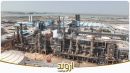 تقدیر معاون وزیر نفت از درایت و توانمندی پتروشیمی اروند در صیانت از پایداری صنعت در بحران‌های منطقه‌ای