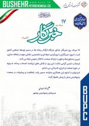 پیام مدیرعامل شرکت پتروشیمی بوشهر به مناسبت روز خبرنگار